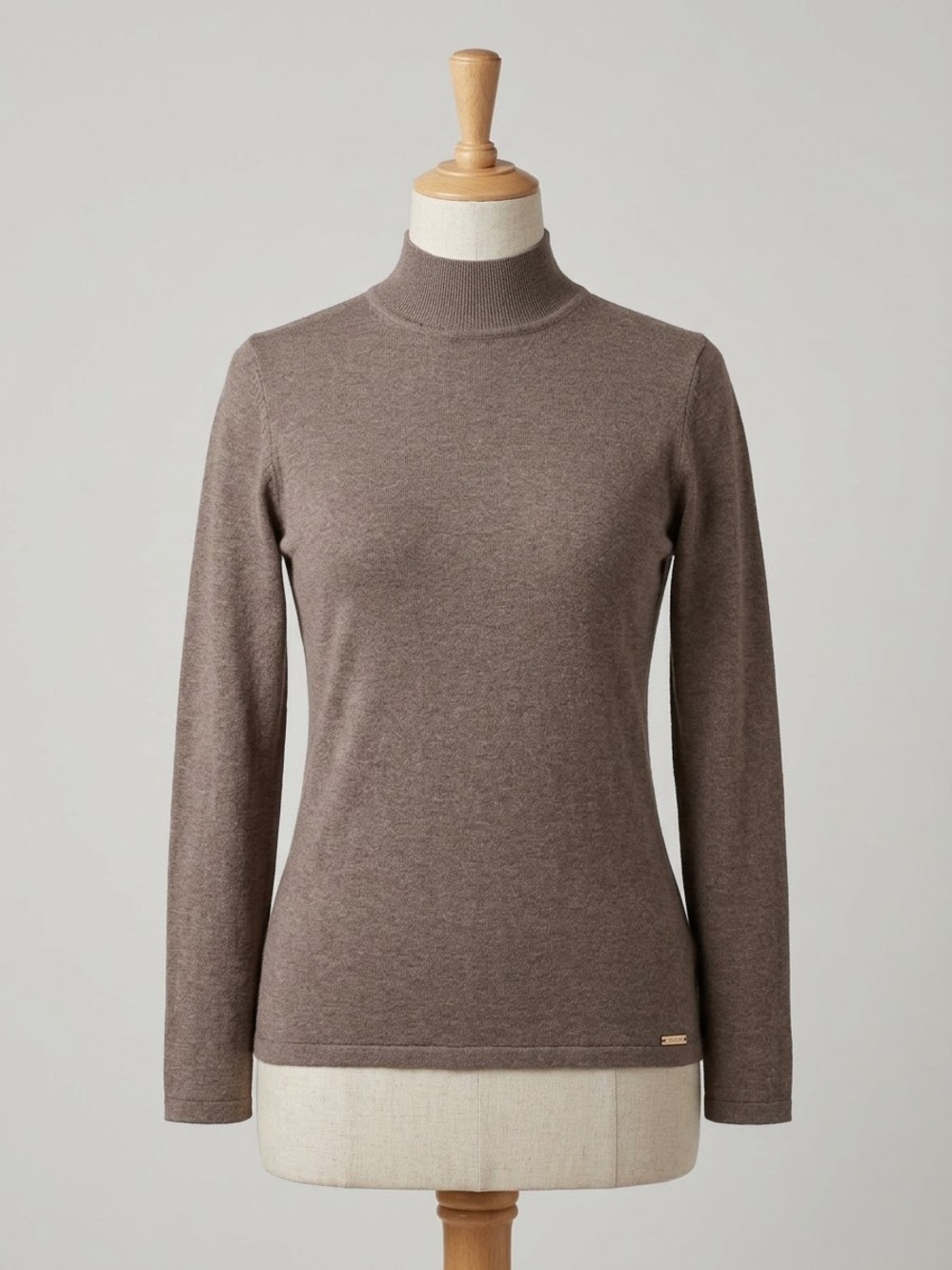 Tahiri Women’s Brown Turtleneck Sweater